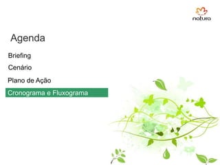  Áreas mais prejudicadas e mais bem tratadas;