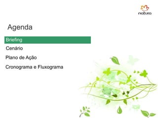 AgendaBriefingCenárioPlano de AçãoCronograma e Fluxograma