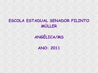 ESCOLA ESTADUAL SENADOR FILINTO MÜLLER ANGÉLICA/MS ANO: 2011 
