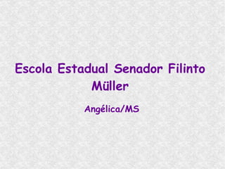 Escola Estadual Senador Filinto Müller Angélica/MS 
