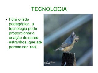 TECNOLOGIA Fora o lado pedagógico, a tecnologia pode proporcionar a criação de seres  estranhos, que até  parece ser  real. 