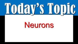 Today’s Topic
Neurons
 