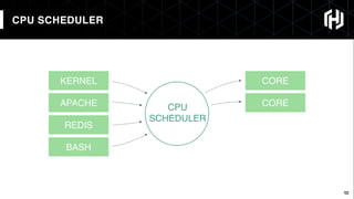 12
CPU SCHEDULER
12
CORE
CORECPU
SCHEDULER
KERNEL
APACHE
REDIS
BASH
 