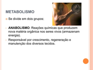 METABOLISMO
   Se divide em dois grupos:

•   ANABOLISMO: Reações químicas que produzem
    nova matéria orgânica nos seres vivos (armazenam
    energia).
•   Responsável por crescimento, regeneração e
    manutenção dos diversos tecidos.
 
