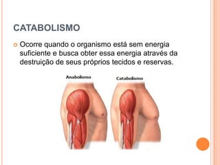 CATABOLISMO
   Ocorre quando o organismo está sem energia
    suficiente e busca obter essa energia através da
    destruição de seus próprios tecidos e reservas.
 
