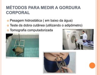 MÉTODOS PARA MEDIR A GORDURA
CORPORAL
 Pesagem hidrostática ( em baixo da água)
 Teste da dobra cutânea (utilizando o adipômetro)

 Tomografia computadorizada
 