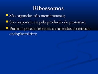 RibossomosRibossomos
 São organelas não membranosas;São organelas não membranosas;
 São responsáveis pela produção de proteínas;São responsáveis pela produção de proteínas;
 Podem aparecer isoladas ou aderidos ao retículoPodem aparecer isoladas ou aderidos ao retículo
endoplasmático;endoplasmático;
 