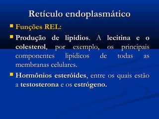 Retículo endoplasmáticoRetículo endoplasmático
 Funções REL:Funções REL:
 Produção de lipídiosProdução de lipídios. A. A lecitina e olecitina e o
colesterolcolesterol, por exemplo, os principais, por exemplo, os principais
componentes lipídicos de todas ascomponentes lipídicos de todas as
membranas celulares.membranas celulares.
 Hormônios esteróidesHormônios esteróides, entre os quais estão, entre os quais estão
aa testosteronatestosterona e ose os estrógeno.estrógeno.
 