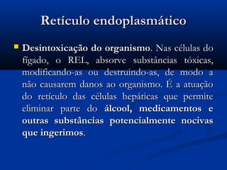 Retículo endoplasmáticoRetículo endoplasmático
 Desintoxicação do organismoDesintoxicação do organismo. Nas células do. Nas células do
fígado, o REL, absorve substâncias tóxicas,fígado, o REL, absorve substâncias tóxicas,
modificando-as ou destruindo-as, de modo amodificando-as ou destruindo-as, de modo a
não causarem danos ao organismo. É a atuaçãonão causarem danos ao organismo. É a atuação
do retículo das células hepáticas que permitedo retículo das células hepáticas que permite
eliminar parte doeliminar parte do álcool, medicamentos eálcool, medicamentos e
outras substâncias potencialmente nocivasoutras substâncias potencialmente nocivas
que ingerimosque ingerimos..
 