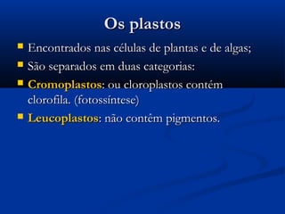 Os plastosOs plastos
 Encontrados nas células de plantas e de algas;Encontrados nas células de plantas e de algas;
 São separados em duas categorias:São separados em duas categorias:
 CromoplastosCromoplastos: ou cloroplastos contém: ou cloroplastos contém
clorofila. (fotossíntese)clorofila. (fotossíntese)
 LeucoplastosLeucoplastos: não contêm pigmentos.: não contêm pigmentos.
 