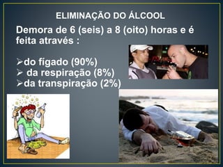ELIMINAÇÃO DO ÁLCOOL
Demora de 6 (seis) a 8 (oito) horas e é
feita através :
do fígado (90%)
 da respiração (8%)
da transpiração (2%)
 