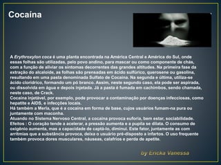 Cocaína
A Erythroxylon coca é uma planta encontrada na América Central e América do Sul, onde
essas folhas são utilizadas, pelo povo andino, para mascar ou como componente de chás,
com a função de aliviar os sintomas decorrentes das grandes altitudes. Na primeira fase da
extração do alcaloide, as folhas são prensadas em ácido sulfúrico, querosene ou gasolina,
resultando em uma pasta denominada Sulfato de Cocaína. Na segunda e última, utiliza-se
ácido clorídrico, formando um pó branco. Assim, neste segundo caso, ela pode ser aspirada,
ou dissolvida em água e depois injetada. Já a pasta é fumada em cachimbos, sendo chamada,
neste caso, de Crack.
Cocaína injetável, por exemplo, pode provocar a contaminação por doenças infecciosas, como
hepatite e AIDS, e infecções locais.
Há também a Merla, que é a cocaína em forma de base, cujos usuários fumam-na pura ou
juntamente com maconha.
Atuando no Sistema Nervoso Central, a cocaína provoca euforia, bem estar, sociabilidade.
Efeitos : O coração tende a acelerar, a pressão aumenta e a pupila se dilata. O consumo de
oxigênio aumenta, mas a capacidade de captá-lo, diminui. Este fator, juntamente as com
arritmias que a substância provoca, deixa o usuário pré-disposto a infartos. O uso frequente
também provoca dores musculares, náuseas, calafrios e perda de apetite.
 