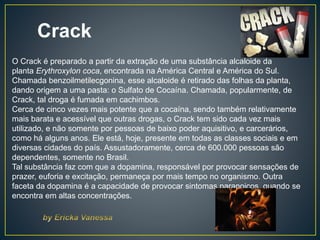 Crack
O Crack é preparado a partir da extração de uma substância alcaloide da
planta Erythroxylon coca, encontrada na América Central e América do Sul.
Chamada benzoilmetilecgonina, esse alcaloide é retirado das folhas da planta,
dando origem a uma pasta: o Sulfato de Cocaína. Chamada, popularmente, de
Crack, tal droga é fumada em cachimbos.
Cerca de cinco vezes mais potente que a cocaína, sendo também relativamente
mais barata e acessível que outras drogas, o Crack tem sido cada vez mais
utilizado, e não somente por pessoas de baixo poder aquisitivo, e carcerários,
como há alguns anos. Ele está, hoje, presente em todas as classes sociais e em
diversas cidades do país. Assustadoramente, cerca de 600.000 pessoas são
dependentes, somente no Brasil.
Tal substância faz com que a dopamina, responsável por provocar sensações de
prazer, euforia e excitação, permaneça por mais tempo no organismo. Outra
faceta da dopamina é a capacidade de provocar sintomas paranoicos, quando se
encontra em altas concentrações.
 