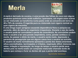 A merla é derivada da cocaína, é uma junção das folhas da coca com alguns
produtos químicos como ácido sulfúrico, querosene, cal virgem entre outros
ao ser misturado se transforma numa pasta onde se concentra em torno de
40 a 70% de cocaína. É ingerida pura ou misturada num cigarro normal ou
num cigarro de maconha.
É uma droga super perigosa causando dependência física e psíquica ao
paciente, além de danos ao organismo irreparáveis. Durante o uso da merla,
o usuário pode ter convulsões e perda de consciência. As convulsões podem
levar o usuário a ter uma parada respiratória, coma, parada cardíaca e a
morte. Ao passar o efeito da merla, o usuário sente medo, depressão e
paranóia de perseguição que em alguns casos leva o usuário ao suicídio.
O usuário da merla normalmente apresenta a ponta dos dedos amarelada,
olhos avermelhados, lacrimejados e irritados, respiração difícil, tremores nas
mãos, irritação e inquietação. Ao longo do tempo o usuário perde seus
dentes pois na merla existe um composto misturado chamado ácido de
bateria que começa a furar os dentes até que a perda total aconteça.
 