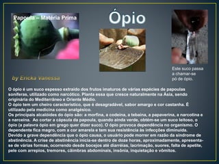 O ópio é um suco espesso extraído dos frutos imaturos de várias espécies de papoulas
soníferas, utilizado como narcótico. Planta essa que cresce naturalmente na Ásia, sendo
originária do Mediterrâneo e Oriente Médio.
O ópio tem um cheiro característico, que é desagradável, sabor amargo e cor castanha. É
utilizado pela medicina como analgésico.
Os principais alcalóides do ópio são: a morfina, a codeína, a tebaína, a papaverina, a narcotina e
a narceína. Ao cortar a cápsula da papoula, quando ainda verde, obtém-se um suco leitoso, o
ópio (a palavra ópio em grego quer dizer suco). O ópio provoca dependência no organismo. O
dependente fica magro, com a cor amarela e tem sua resistência às infecções diminuída.
Devido a grave dependência que o ópio causa, o usuário pode morrer em razão da síndrome de
abstinência. A crise de abstinência inicia-se dentro de doze horas, aproximadamente, apresenta-
se de várias formas, ocorrendo desde bocejos até diarréias, lacrimação, suores, falta de apetite,
pele com arrepios, tremores, câimbras abdominais, insônia, inquietação e vômitos.
Papoula – Matéria Prima
Este suco passa
a chamar-se
pó de ópio.
 