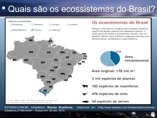  Quais são os ecossistemas do Brasil?




ESTADÃO.COM.BR, Infográficos. Biomas Brasileiros.    Disponível em: <http://www.estadao.com.br/especiais/os-biomas-
brasileiros,21489.htm#> . Acesso em: 08 dec. 2012.
 