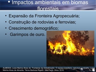  Impactos ambientais em biomas
                  florestais
  •   Expansão da Fronteira Agropecuária;
  •   Construção de rodovias e ferrovias;
  •   Crescimento demográfico;
  •   Garimpos de ouro.




ALMEIDA, Lúcia Marina Alves de. Fronteiras da Globalização- O espaço brasileiro: natureza e trabalho. Lúcia
Marina Alves de Almeída, Tércio Barbosa Rigolin. São Paulo: Ática, 2010.
 