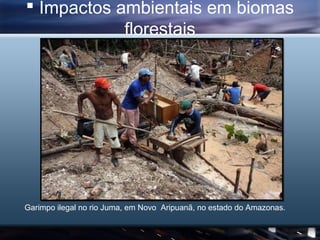  Impactos ambientais em biomas
            florestais




Garimpo ilegal no rio Juma, em Novo Aripuanã, no estado do Amazonas.
 