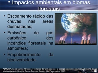  Impactos ambientais em biomas
                 florestais
• Escoamento rápido das
  chuvas     nas    áreas
  desmatadas;
• Emissões      de    gás
  carbônico           dos
  incêndios florestais na
  atmosfera;
• Empobrecimento       da
  biodiversidade.
ALMEIDA, Lúcia Marina Alves de. Fronteiras da Globalização- O espaço brasileiro: natureza e trabalho. Lúcia
Marina Alves de Almeída, Tércio Barbosa Rigolin. São Paulo: Ática, 2010.
 