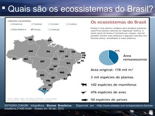  Quais são os ecossistemas do Brasil?




ESTADÃO.COM.BR, Infográficos. Biomas Brasileiros.    Disponível em: <http://www...