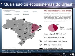  Quais são os ecossistemas do Brasil?




ESTADÃO.COM.BR, Infográficos. Biomas Brasileiros.    Disponível em: <http://www...