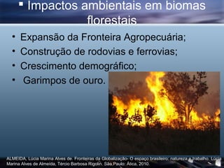  Impactos ambientais em biomas
                  florestais
  •   Expansão da Fronteira Agropecuária;
  •   Construção de...