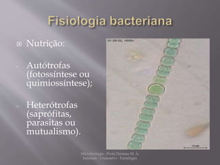  Nutrição: 
- Autótrofas 
(fotossíntese ou 
quimiossíntese); 
- Heterótrofas 
(saprófitas, 
parasitas ou 
mutualismo). 
Microbiologia - Profa Dariana M. A. 
Salaman - Uniasselvi - Famelages 
 