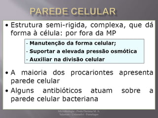 Microbiologia - Profa Dariana M. A. 
Salaman - Uniasselvi - Famelages 
 