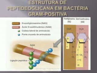 Microbiologia - Profa Dariana M. A. 
Salaman - Uniasselvi - Famelages 
 