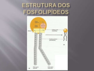 Microbiologia - Profa Dariana M. A. 
Salaman - Uniasselvi - Famelages 
 