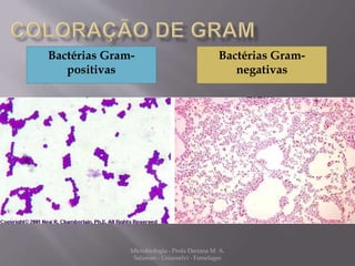 Bactérias Gram-positivas 
Bactérias Gram-negativas 
Microbiologia - Profa Dariana M. A. 
Salaman - Uniasselvi - Famelages 
 