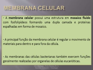Microbiologia - Profa Dariana M. A. 
Salaman - Uniasselvi - Famelages 
 