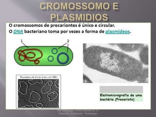 Microbiologia - Profa Dariana M. A. 
Salaman - Uniasselvi - Famelages 
 