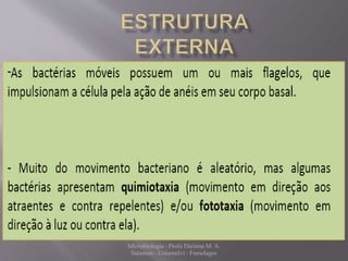 Microbiologia - Profa Dariana M. A. 
Salaman - Uniasselvi - Famelages 
 