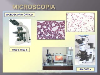 Microbiologia - Profa Dariana M. A. 
Salaman - Uniasselvi - Famelages 
 