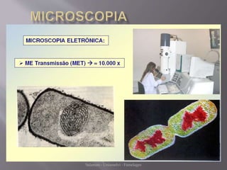 Microbiologia - Profa Dariana M. A. 
Salaman - Uniasselvi - Famelages 
 