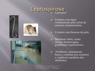  Leptospira 
 Contato com água 
contaminada pela urina de 
animais contaminados; 
 Contato com fissuras da pele; 
 Sintomas: febre, urina 
escura, hemorragias, 
problemas respiratórios; 
 Profilaxia: saneamento 
básico; combate aos roedores 
e vigilância sanitária dos 
alimentos. 
Microbiologia - Profa Dariana M. A. 
Salaman - Uniasselvi - Famelages 
 