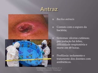  Bacilus antracis 
 Contato com o esporo da 
bactéria; 
 Sintomas: úlceras cutâneas; 
por inalação há febre, 
dificuldade respiratória e 
morte em 48 horas. 
 Profilaxia: isolamento e 
tratamento dos doentes com 
antibióticos. 
Microbiologia - Profa Dariana M. A. 
Salaman - Uniasselvi - Famelages 
 