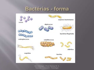 Microbiologia - Profa Dariana M. A. 
Salaman - Uniasselvi - Famelages 
 
