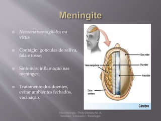  Neisseria meningitidis; ou 
vírus 
 Contágio: gotículas de saliva, 
fala e tosse; 
 Sintomas: inflamação nas 
meninges; 
 Tratamento dos doentes, 
evitar ambientes fechados, 
vacinação. 
Microbiologia - Profa Dariana M. A. 
Salaman - Uniasselvi - Famelages 
 