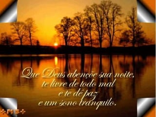 Slide sobre reino monera