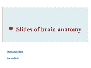 Slides of brain anatomy 
Dr.munir suwalem 
Resident radiologist 
 