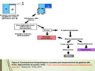 Figura 5: Consequências fisiopatológicas causadas pelo despareamento de globinas alfa
livres. (Agravamento do quadro, fonte: :< http://www.hemoglobinopatias.com.br/talassemias/talbeta.htm> . Acesso em: 10 fev. 2014

 