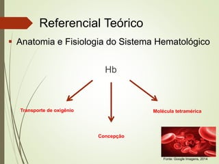 Referencial Teórico
 Anatomia e Fisiologia do Sistema Hematológico
Hb

Transporte de oxigênio

Molécula tetramérica

Conc...