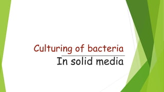 Culturing of bacteria
In solid media
 