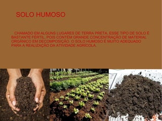 SOLO HUMOSO
CHAMADO EM ALGUNS LUGARES DE TERRA PRETA, ESSE TIPO DE SOLO É
BASTANTE FÉRTIL, POIS CONTÉM GRANDE CONCENTRAÇÃO DE MATERIAL
ORGÂNICO EM DECOMPOSIÇÃO. O SOLO HUMOSO É MUITO ADEQUADO
PARA A REALIZAÇÃO DA ATIVIDADE AGRÍCOLA.
 