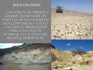 SOLO CALCÁRIO:SOLO CALCÁRIO:
COM POUCO NUTRIENTE ECOM POUCO NUTRIENTE E
GRANDE QUANTIDADE DEGRANDE QUANTIDADE DE
PARTÍCULAS ROCHOSAS EMPARTÍCULAS ROCHOSAS EM
SUA COMPOSIÇÃO, O SOLOSUA COMPOSIÇÃO, O SOLO
CALCÁRIO É INADEQUADOCALCÁRIO É INADEQUADO
PARA O CULTIVO DEPARA O CULTIVO DE
PLANTAS. ELE É TÍPICO DEPLANTAS. ELE É TÍPICO DE
REGIÕES DESÉRTICASREGIÕES DESÉRTICAS..
 