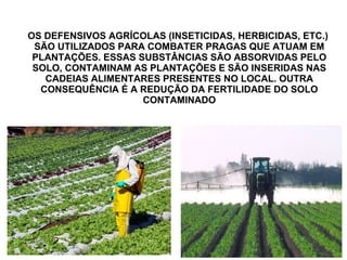 OS DEFENSIVOS AGRÍCOLAS (INSETICIDAS, HERBICIDAS, ETC.)
SÃO UTILIZADOS PARA COMBATER PRAGAS QUE ATUAM EM
PLANTAÇÕES. ESSAS SUBSTÂNCIAS SÃO ABSORVIDAS PELO
SOLO, CONTAMINAM AS PLANTAÇÕES E SÃO INSERIDAS NAS
CADEIAS ALIMENTARES PRESENTES NO LOCAL. OUTRA
CONSEQUÊNCIA É A REDUÇÃO DA FERTILIDADE DO SOLO
CONTAMINADO
 