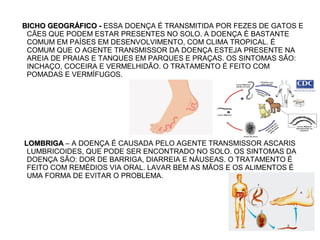 BICHO GEOGRÁFICO -BICHO GEOGRÁFICO - ESSA DOENÇA É TRANSMITIDA POR FEZES DE GATOS E
CÃES QUE PODEM ESTAR PRESENTES NO SOLO. A DOENÇA É BASTANTE
COMUM EM PAÍSES EM DESENVOLVIMENTO, COM CLIMA TROPICAL. É
COMUM QUE O AGENTE TRANSMISSOR DA DOENÇA ESTEJA PRESENTE NA
AREIA DE PRAIAS E TANQUES EM PARQUES E PRAÇAS. OS SINTOMAS SÃO:
INCHAÇO, COCEIRA E VERMELHIDÃO. O TRATAMENTO É FEITO COM
POMADAS E VERMÍFUGOS.
LOMBRIGALOMBRIGA – A DOENÇA É CAUSADA PELO AGENTE TRANSMISSOR ASCARIS
LUMBRICOIDES, QUE PODE SER ENCONTRADO NO SOLO. OS SINTOMAS DA
DOENÇA SÃO: DOR DE BARRIGA, DIARREIA E NÁUSEAS. O TRATAMENTO É
FEITO COM REMÉDIOS VIA ORAL. LAVAR BEM AS MÃOS E OS ALIMENTOS É
UMA FORMA DE EVITAR O PROBLEMA.
 