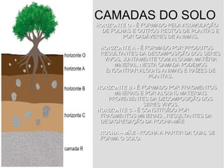 CAMADAS DO SOLO
HORIZONTE O -HORIZONTE O - É FORMADO PELA ACUMULAÇÃOÉ FORMADO PELA ACUMULAÇÃO
DE FOLHAS E OUTROS RESTOS DE PLANTAS EDE FOLHAS E OUTROS RESTOS DE PLANTAS E
POR CADÁVERES DE ANIMAIS.POR CADÁVERES DE ANIMAIS.
HORIZONTE A -HORIZONTE A - É FORMADO POR PRODUTOSÉ FORMADO POR PRODUTOS
RESULTANTES DA DECOMPOSIÇÃO DOS SERESRESULTANTES DA DECOMPOSIÇÃO DOS SERES
VIVOS, JUNTAMENTE COM ALGUMA MATÉRIAVIVOS, JUNTAMENTE COM ALGUMA MATÉRIA
MINERAL. NESTA CAMADA PODEMOSMINERAL. NESTA CAMADA PODEMOS
ENCONTRAR ALGUNS ANIMAIS E RAÍZES DEENCONTRAR ALGUNS ANIMAIS E RAÍZES DE
PLANTAS.PLANTAS.
HORIZONTE BHORIZONTE B - É FORMADO POR FRAGMENTOS- É FORMADO POR FRAGMENTOS
MINERAIS E POR ALGUNS MATERIAISMINERAIS E POR ALGUNS MATERIAIS
PROVENIENTES DA DECOMPOSIÇÃO DOSPROVENIENTES DA DECOMPOSIÇÃO DOS
SERES VIVOSSERES VIVOS..
HORIZONTE C -HORIZONTE C - É CONSTITUÍDO PORÉ CONSTITUÍDO POR
FRAGMENTOS MINERAIS , RESULTANTES DAFRAGMENTOS MINERAIS , RESULTANTES DA
DESAGREGAÇÃO DA ROCHA-MÃEDESAGREGAÇÃO DA ROCHA-MÃE
ROCHA – MÃE -ROCHA – MÃE - ROCHA A PARTIR DA QUAL SEROCHA A PARTIR DA QUAL SE
FORMA O SOLO.FORMA O SOLO.
 